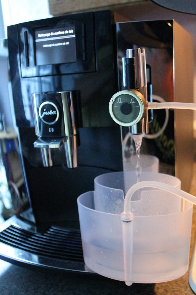 nettoyage-du-systeme-de-lait-jura-e8-hungry-rachel