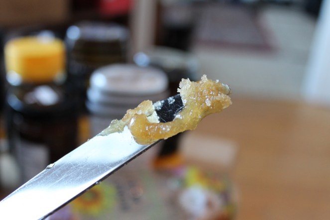 miel-cristallise-hungry-rachel